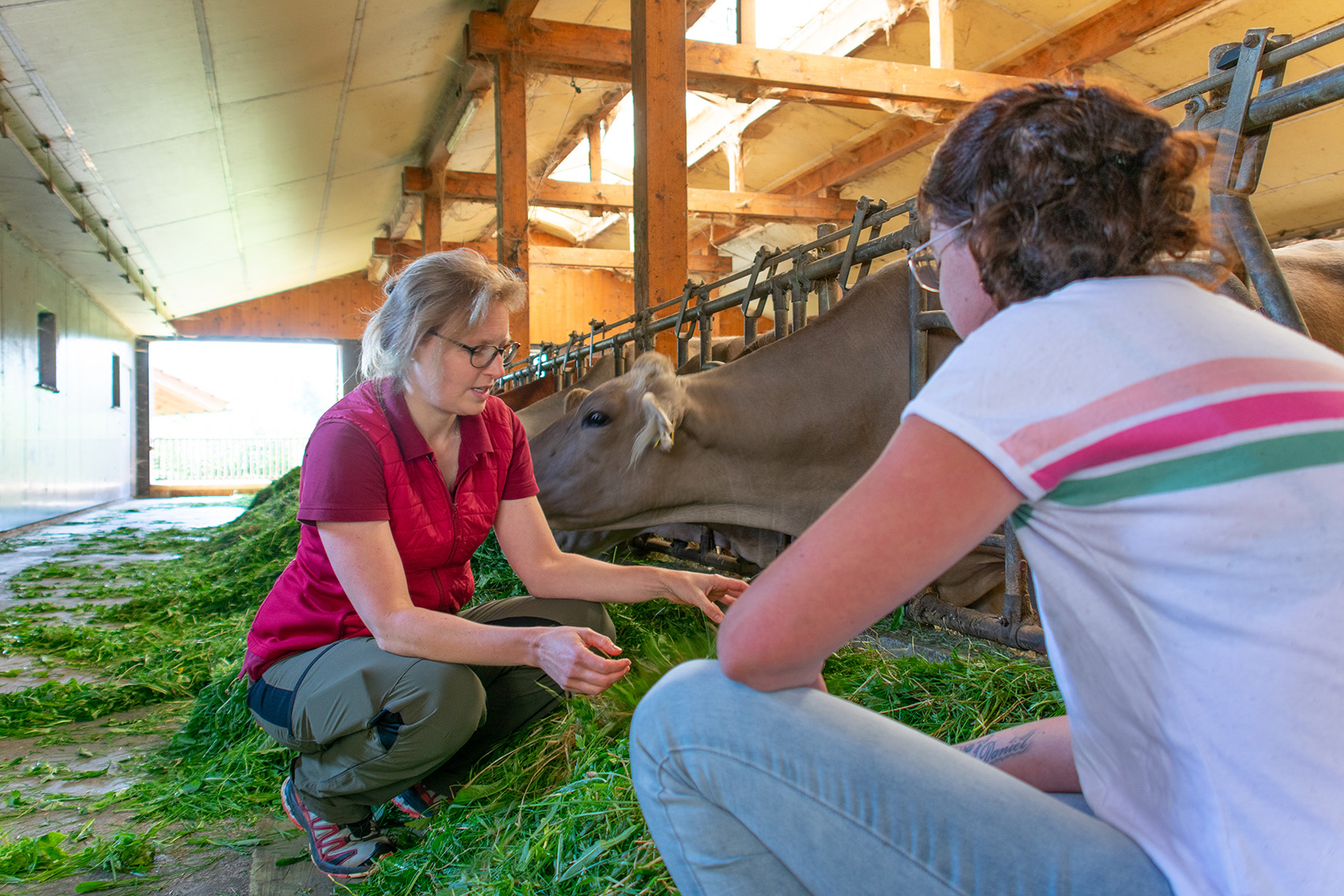 Landwirtschaftliche Betriebsberatung - Dein Stall - Deine Kühe